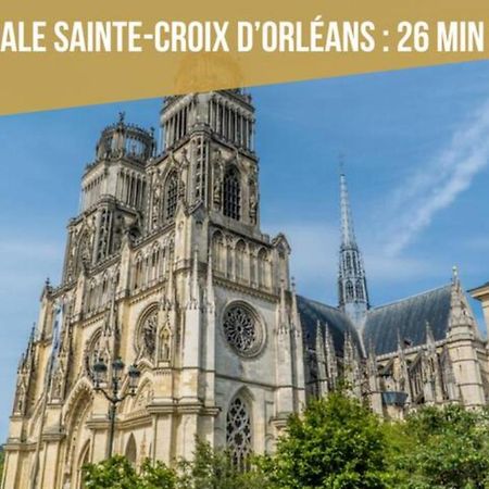 Le Micy - Joli T2 + Parking Lägenhet Orléans Exteriör bild